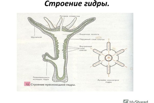 Как залить фото на кракен в диспуте