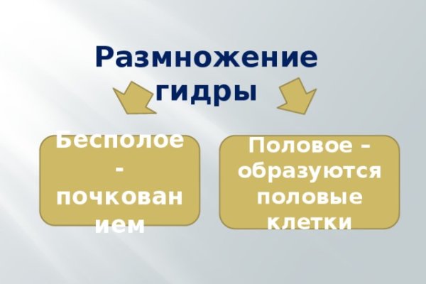 Закладки героина