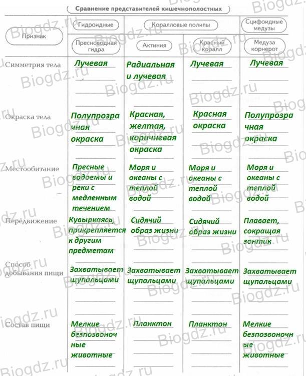 Как купить битки на меге через телефон